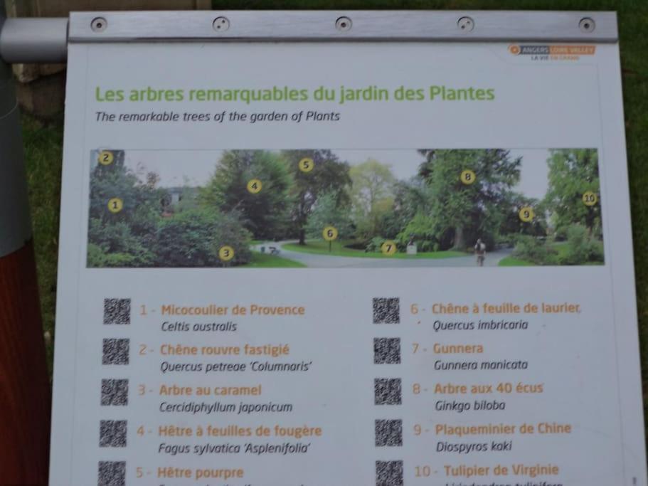 La Bergerie Angers Centre Ville Luaran gambar